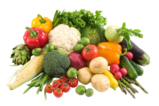 Shital Foods Industries